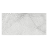 Creo 24" x 48" Marble Look Polished Porcelain Tile