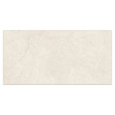 Nebula 24" x 48" Concrete Look Polished Porcelain Tile