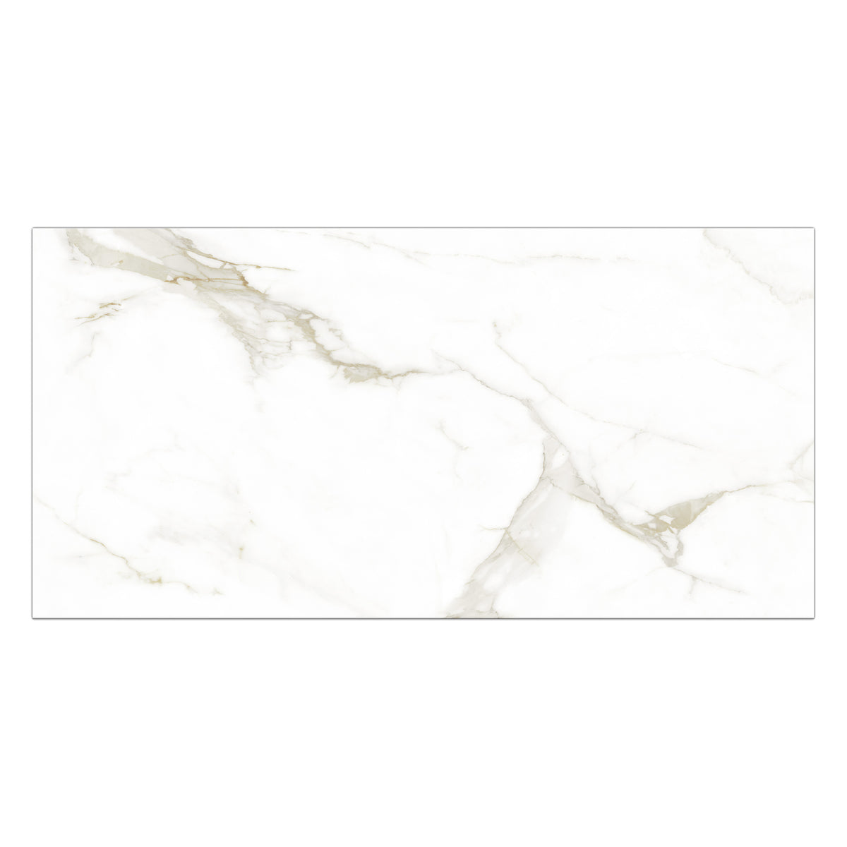 Athena 24" x 48" Calacatta Gold Polished Porcelain Tile