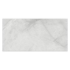 Creo 24" x 48" Marble Look Polished Porcelain Tile
