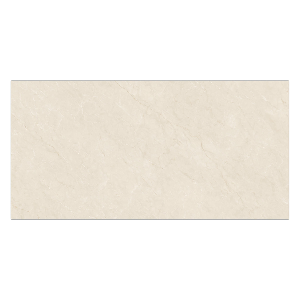 Fantasia 24" x 48" Marfil Polished Porcelain Tile