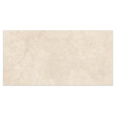 Nebula 12" x 24" Concrete Look Matte Porcelain Tile