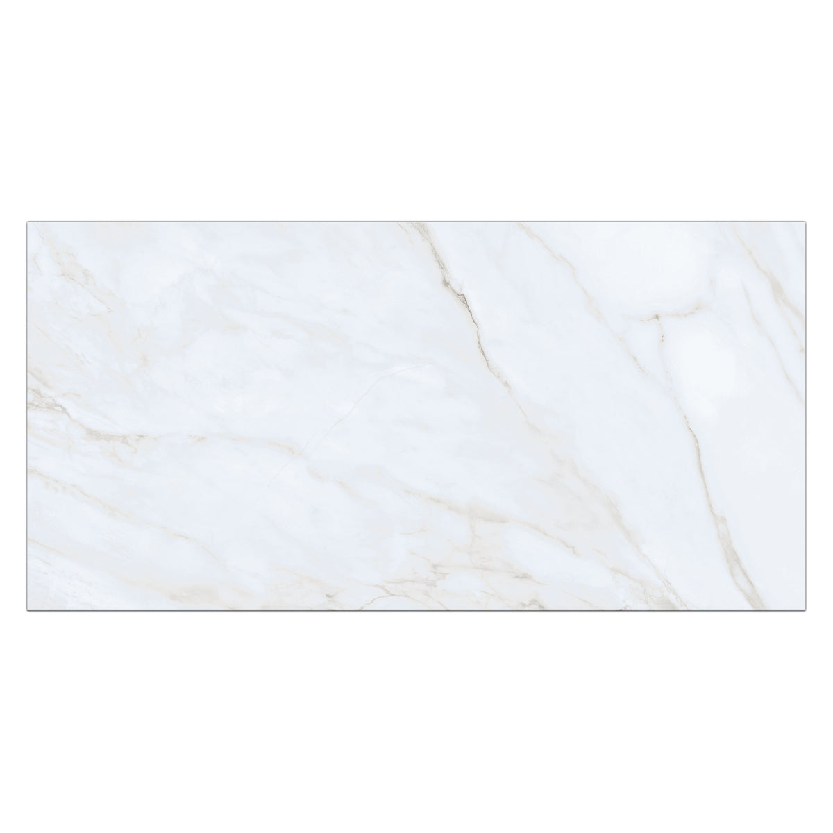 Nube 24" x 48" Statuario Satin Porcelain Tile