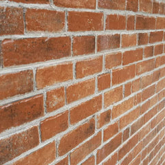 dBrick 12" x 24" Brick Look Floor & Wall Tile